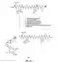 Fig. 09 - Linkers for radiopharmaceutical compounds