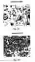 Fig. 06 - Long lasting insulin derivatives and methods thereof