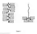 Fig. 02 - Selectin targeting bioconjugates