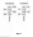 Fig. 03 - Selectin targeting bioconjugates
