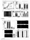 Fig. 07 - Means for preventing and treating cellular death and their biological applications