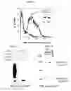 Fig. 02 - Methods of treating disorders associated with toll-like receptor 4 (TLR4) signalling