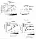Fig. 07 - Methods of treating disorders associated with toll-like receptor 4 (TLR4) signalling