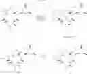 Fig. 34 - 10-substituted macrolide antibiotics