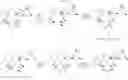 Fig. 41 - 10-substituted macrolide antibiotics