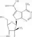 Fig. 13 - Nucleoside compounds for treating viral infections