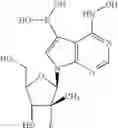 Fig. 22 - Nucleoside compounds for treating viral infections