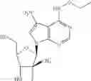 Fig. 37 - Nucleoside compounds for treating viral infections