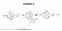 Fig. 10 - Ring-expanded nucleosides and nucleotides