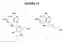 Fig. 16 - Ring-expanded nucleosides and nucleotides