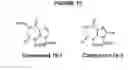 Fig. 18 - Ring-expanded nucleosides and nucleotides