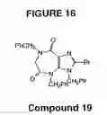 Fig. 19 - Ring-expanded nucleosides and nucleotides