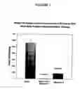 Fig. 02 - Antisense oligonucleotides directed to ribonucleotide reductase r2 and uses thereof in the treament of cancer