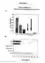 Fig. 04 - Antisense oligonucleotides directed to ribonucleotide reductase r2 and uses thereof in the treament of cancer