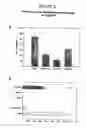 Fig. 06 - Antisense oligonucleotides directed to ribonucleotide reductase r2 and uses thereof in the treament of cancer