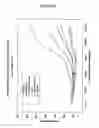 Fig. 09 - Antisense oligonucleotides directed to ribonucleotide reductase r2 and uses thereof in the treament of cancer