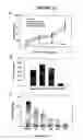 Fig. 28 - Antisense oligonucleotides directed to ribonucleotide reductase r2 and uses thereof in the treament of cancer