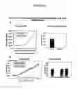 Fig. 33 - Antisense oligonucleotides directed to ribonucleotide reductase r2 and uses thereof in the treament of cancer