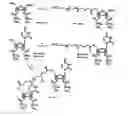 Fig. 03 - Functional synthetic molecules and macromolecules for gene delivery