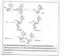 Fig. 04 - Functional synthetic molecules and macromolecules for gene delivery