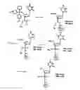 Fig. 05 - Functional synthetic molecules and macromolecules for gene delivery