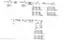 Fig. 07 - Functional synthetic molecules and macromolecules for gene delivery