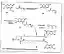 Fig. 08 - Functional synthetic molecules and macromolecules for gene delivery