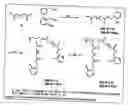 Fig. 09 - Functional synthetic molecules and macromolecules for gene delivery