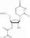 Fig. 115 - Functional synthetic molecules and macromolecules for gene delivery