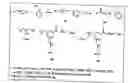Fig. 12 - Functional synthetic molecules and macromolecules for gene delivery