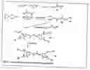 Fig. 13 - Functional synthetic molecules and macromolecules for gene delivery