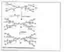 Fig. 14 - Functional synthetic molecules and macromolecules for gene delivery