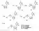 Fig. 16 - Functional synthetic molecules and macromolecules for gene delivery