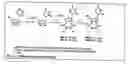 Fig. 17 - Functional synthetic molecules and macromolecules for gene delivery