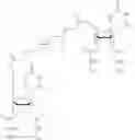 Fig. 176 - Functional synthetic molecules and macromolecules for gene delivery