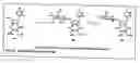 Fig. 19 - Functional synthetic molecules and macromolecules for gene delivery