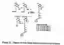 Fig. 22 - Functional synthetic molecules and macromolecules for gene delivery