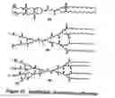 Fig. 24 - Functional synthetic molecules and macromolecules for gene delivery