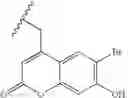 Fig. 74 - Functional synthetic molecules and macromolecules for gene delivery