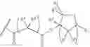 Fig. 94 - Functional synthetic molecules and macromolecules for gene delivery