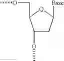 Fig. 19 - Oligomeric compounds for use in gene modulation