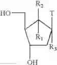 Fig. 20 - Oligomeric compounds for use in gene modulation