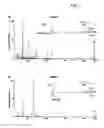 Fig. 03 - Means and methods for counteracting fatty acid accumulation