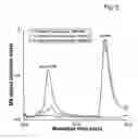 Fig. 06 - Means and methods for counteracting fatty acid accumulation