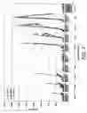 Fig. 03 - Modified oligoribonucleotide analogs with enhanced immunostimulatory activity