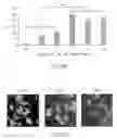 Fig. 22 - Methods and compositions for ameliorating or inhibiting decline in memory or intelligence or improving same