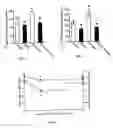 Fig. 04 - Modulating vesicular monoamine transporter trafficking and function: a novel approach for the treatment of parkinson's disease