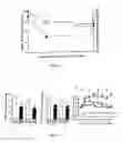 Fig. 06 - Modulating vesicular monoamine transporter trafficking and function: a novel approach for the treatment of parkinson's disease