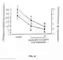 Fig. 08 - Modulating vesicular monoamine transporter trafficking and function: a novel approach for the treatment of parkinson's disease