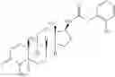 Fig. 101 - Androgen receptor modulators and methods of use thereof